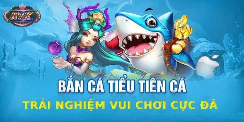 Các bước chơi đơn giản